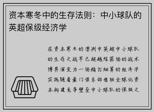资本寒冬中的生存法则：中小球队的英超保级经济学