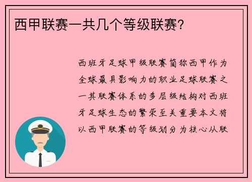 西甲联赛一共几个等级联赛？
