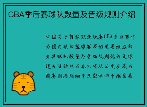 CBA季后赛球队数量及晋级规则介绍