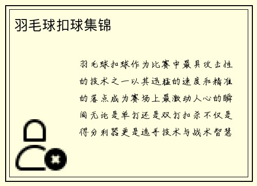 羽毛球扣球集锦